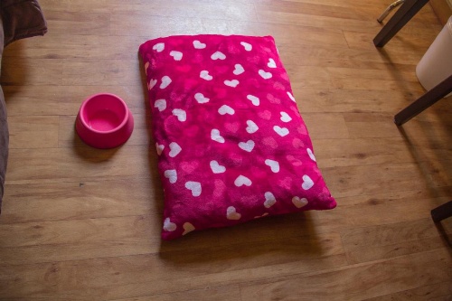 Hotel Novecento image 35